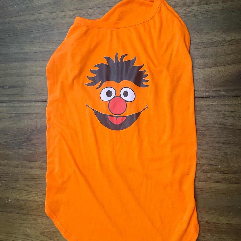 Orange Dog Shirt with Sesame Street’s Ernie face